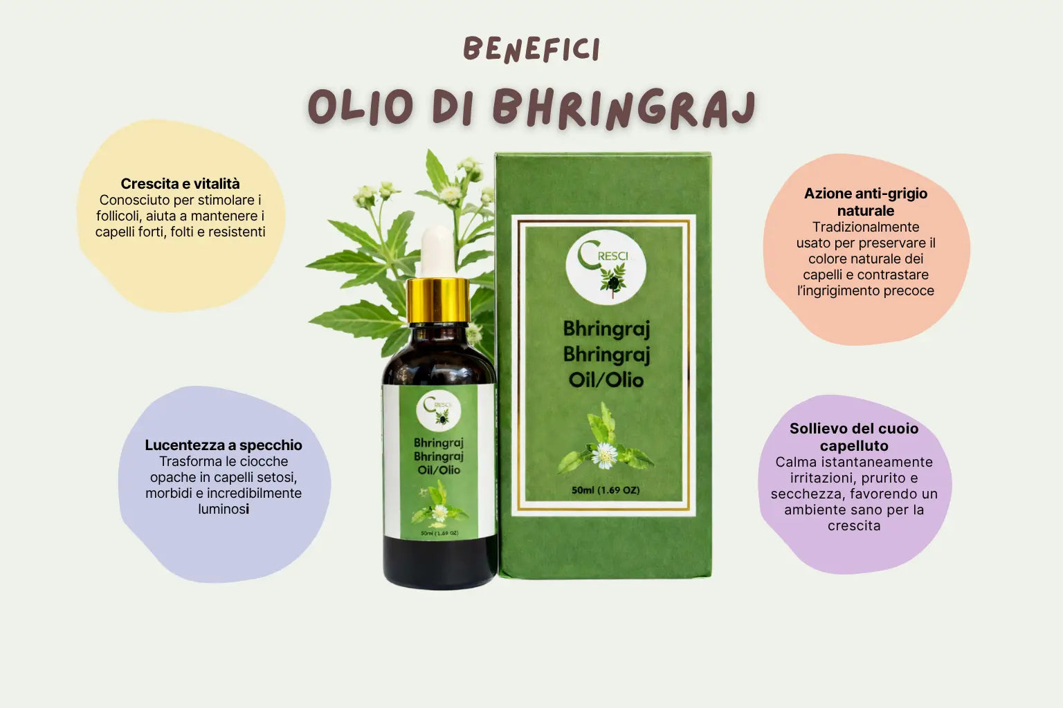 Olio di Bhringraj Puro 100% 50 ml – Olio Ayurvedico per Capelli Nutriente, Rinforzante e Contrasto Capelli Secchi e Fragili